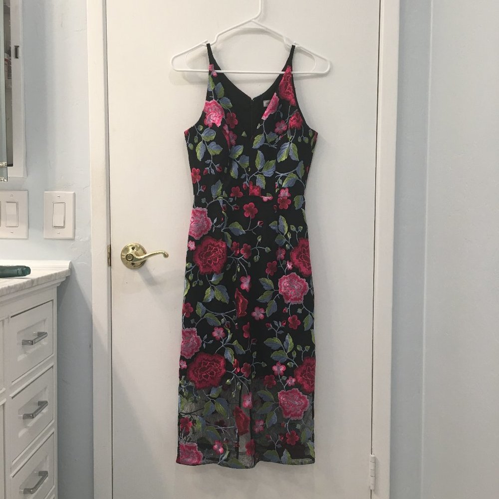 dress the population embroidered floral dress
